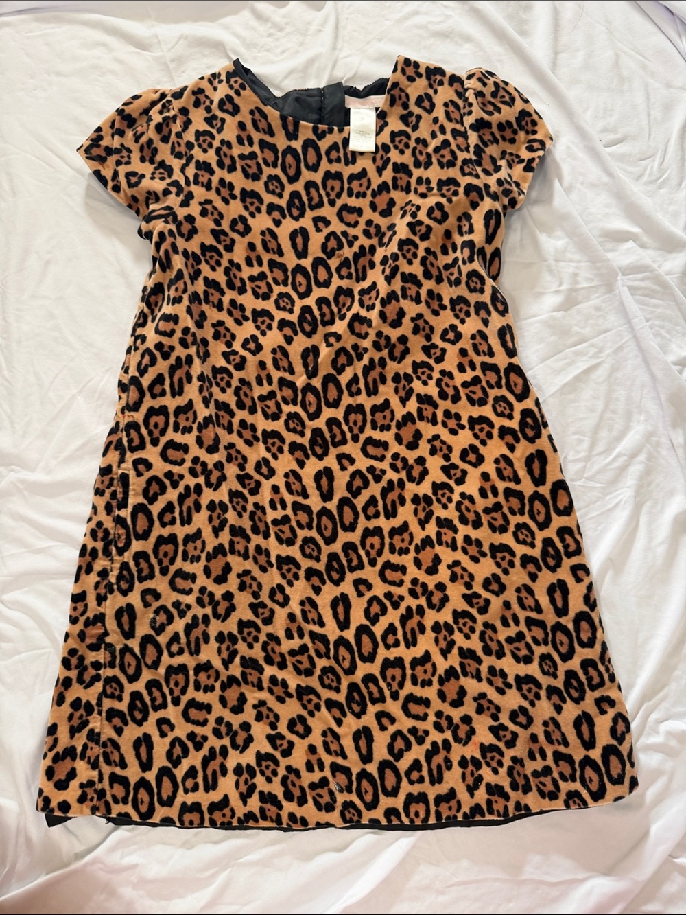Janie and Jack Leopard Print Short Sleeve Dress - Tan and Black